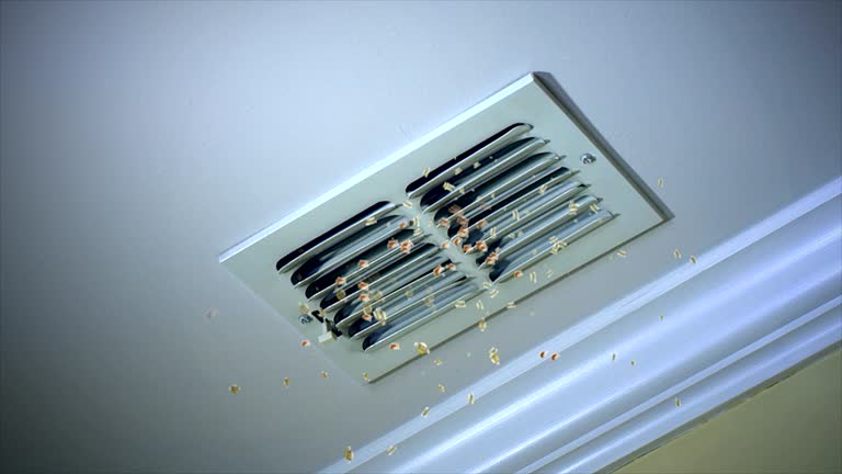 Best Best Air Duct Cleaning Company  in Brambleton, VA
