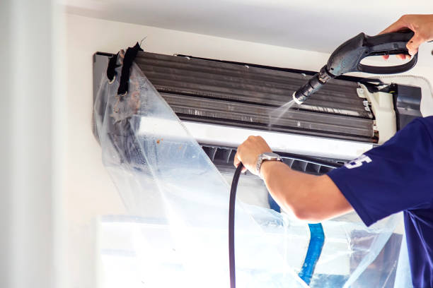 Best Air Duct Mold Removal  in Brambleton, VA