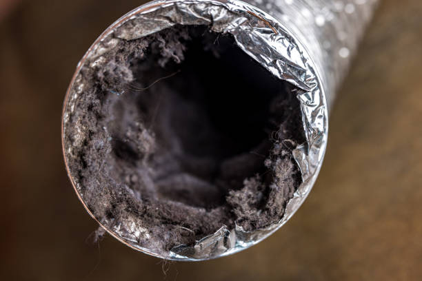 Best HVAC System Cleaning  in Brambleton, VA